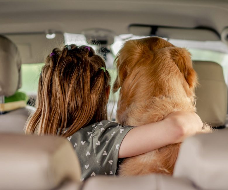 Preteen,Girl,Hugging,Golden,Retriever,Dog,And,Sitting,In,The